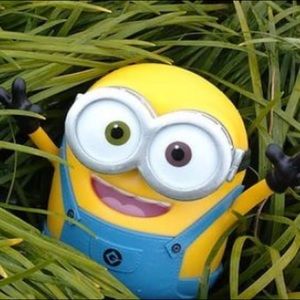 Meet your Posher, Kateleen